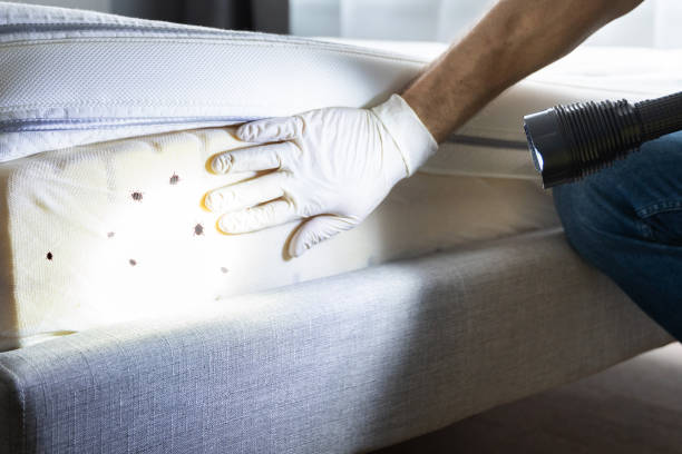 Best Commercial Pest Control Services  in Town N Country, FL