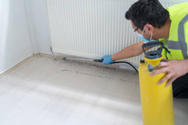 Best Exterminator Services  in Town N Country, FL